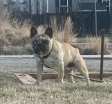 IMG_3889.jpg