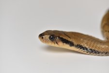 DSC_3150.jpg