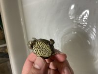 IMG_7901.jpg