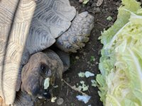 BBMT3.jpg