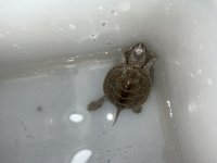 IMG_7891.jpg