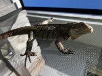 IMG_2746.jpg