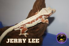 Jerry Lee (1).jpg