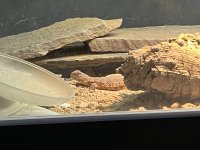 IMG_5744.jpg