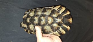 20240123_205603.jpg