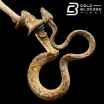 corallus 2 (2).png
