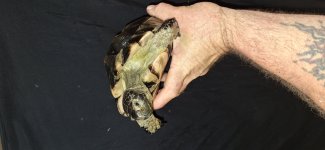 20240123_205613.jpg