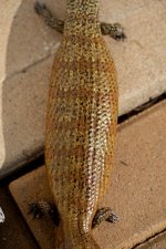 IMG_202312271136021.jpg