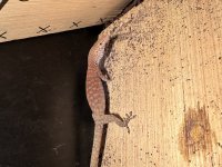 IMG_9081.jpg