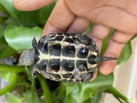 IMG_8596.jpg