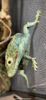 IMG_3660.jpg