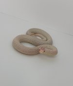 IMG_6197.jpeg