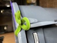 IMG_0871.jpg