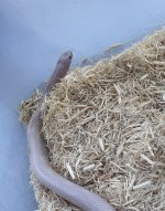 IMG_6322.jpeg
