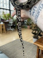 IMG_2872.jpg