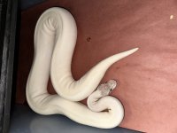 IMG_0465.jpg