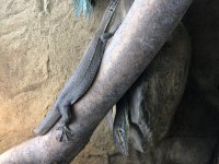 IMG_8813.jpg