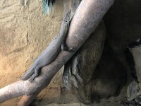 IMG_8811.jpg