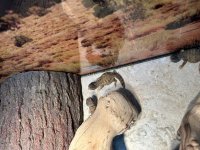 IMG_3384.jpg