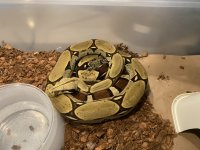 IMG_8331.jpg