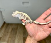 20230825071449.875-IMG_0392-428x361c.jpeg