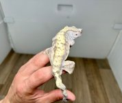 20230825071449.879-IMG_0388-428x361c.jpeg