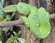 IMG_9645.jpg