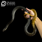 crbo (3).png