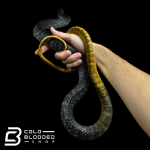 crbo (2).png