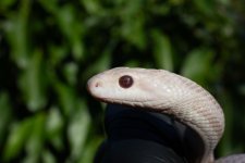IMG_3000.jpg
