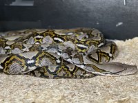 IMG_0555.jpg