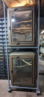 Neo lg arboreal cages 2.jpg