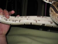 IMG_3624.jpg