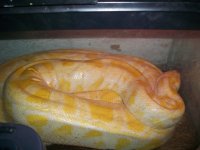 100_3925.jpg