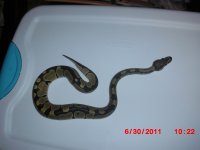 gtp and baby 037.jpg