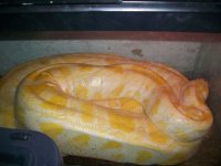100_3927.jpg