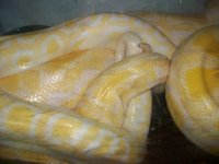 100_3931.jpg