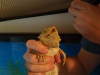 psycho5 (1024x768).jpg