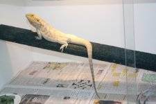 April2011 292.jpg