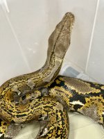 IMG_1032.jpg