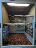 Neo lg arboreal cages 5.jpg