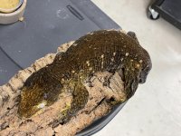 IMG_2573.jpg