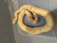 IMG_9273.jpg