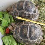 20230813193542.994-thumbnail_20230813_1-428x428c.jpeg