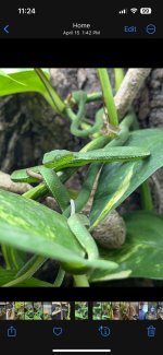IMG_0874.jpg