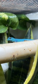 IMG_1374.jpg