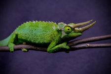 DSCF3618 2.jpg