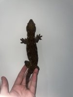 IMG_5385 Small.jpeg