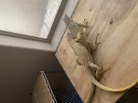 IMG_3912.jpg
