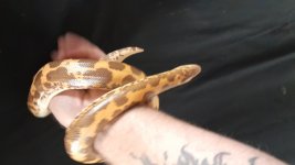 20230921_012913.jpg